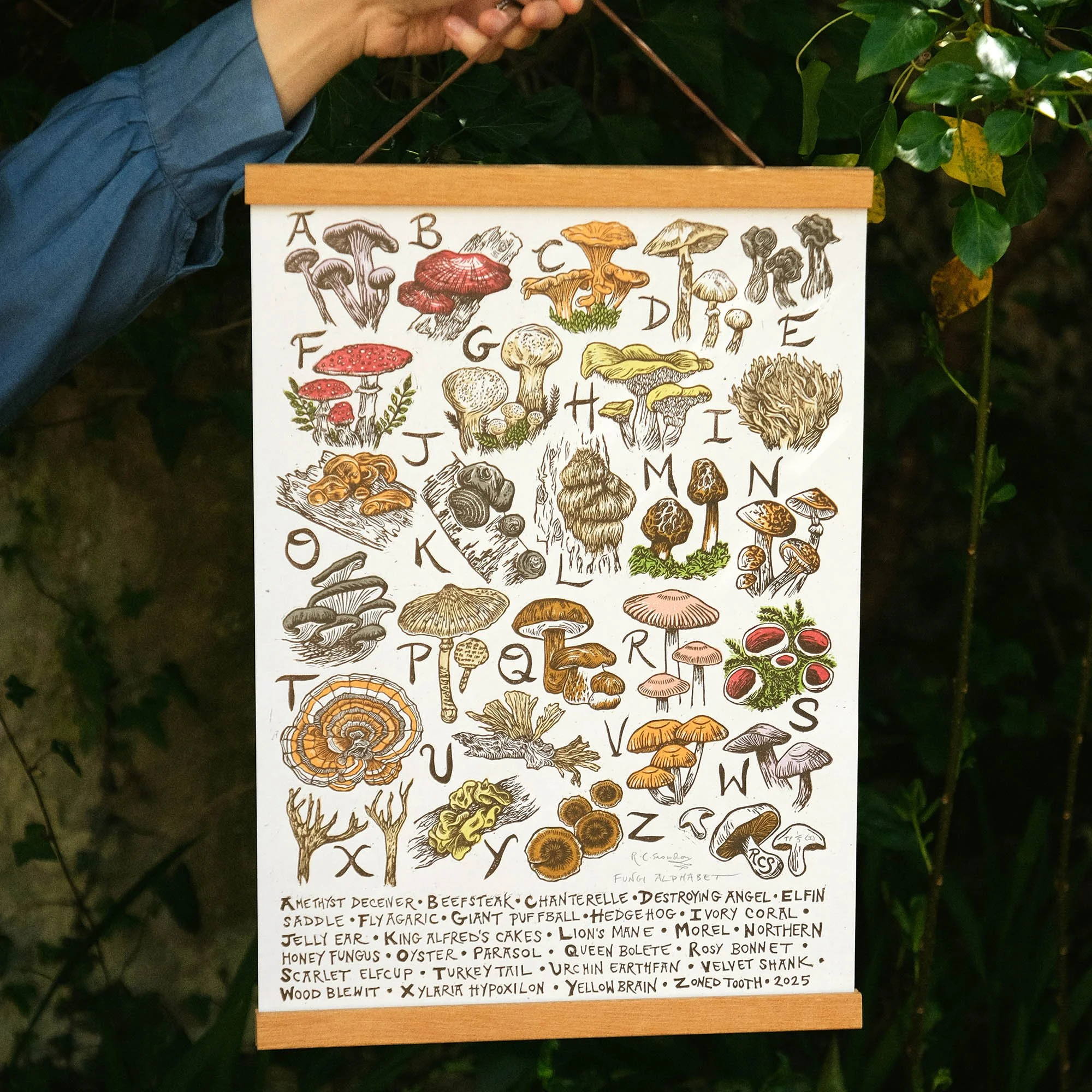 Rachel Snowdon Studio