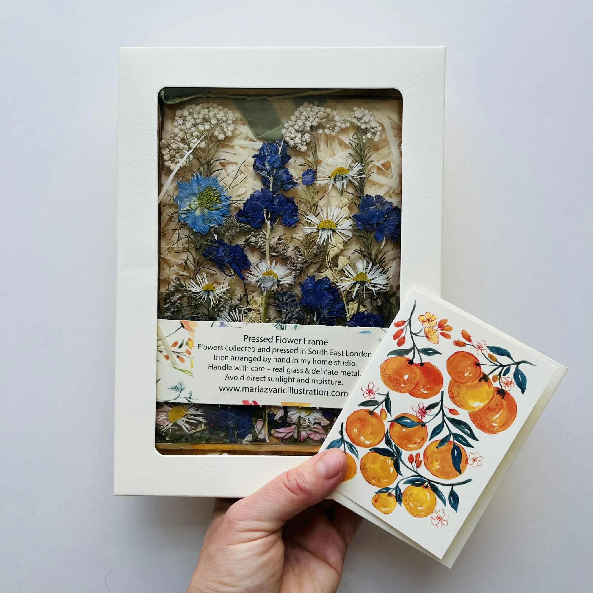 Maria Zvaric Illustration