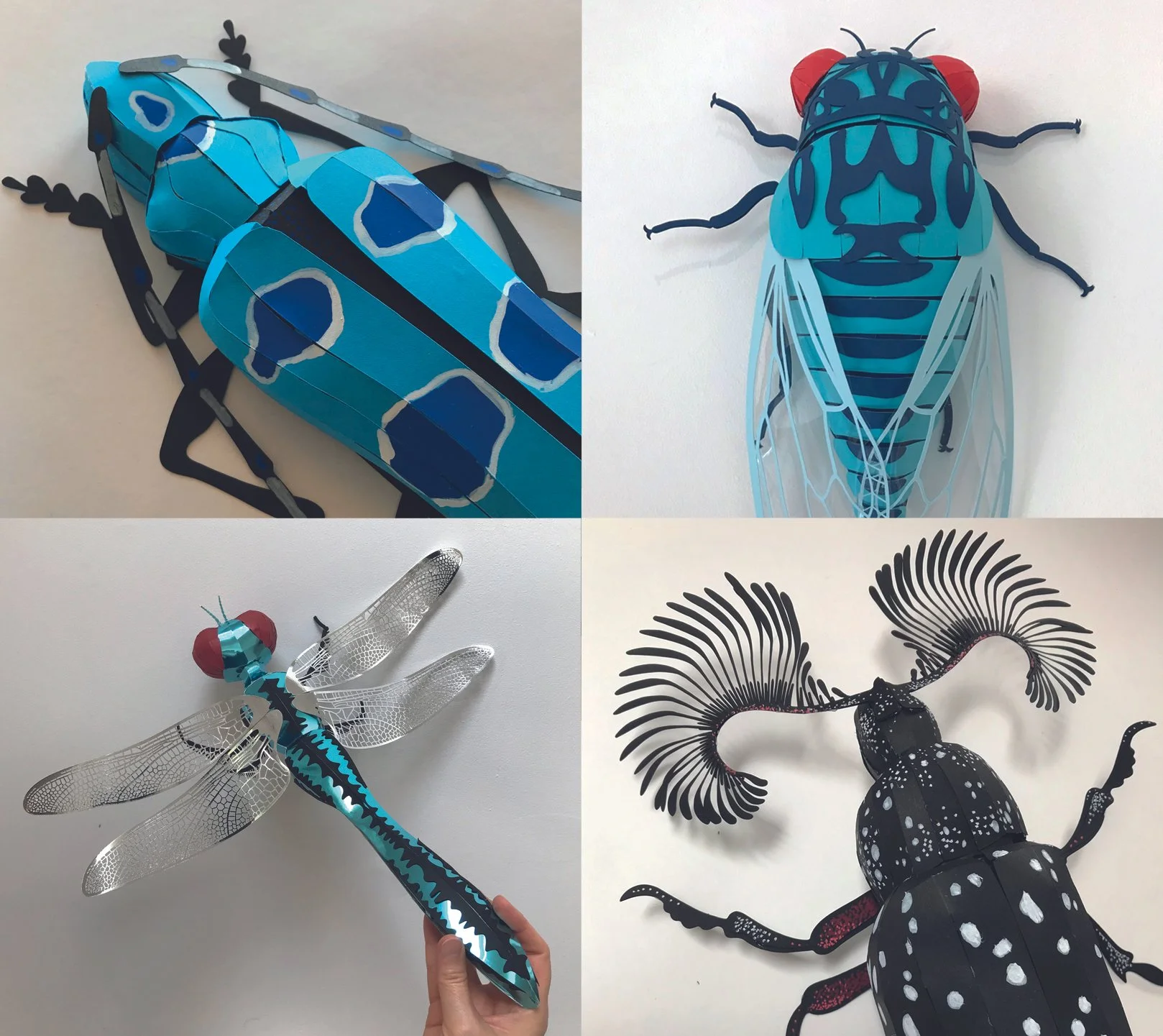 PappetDesign_members_dragonfly.jpg
