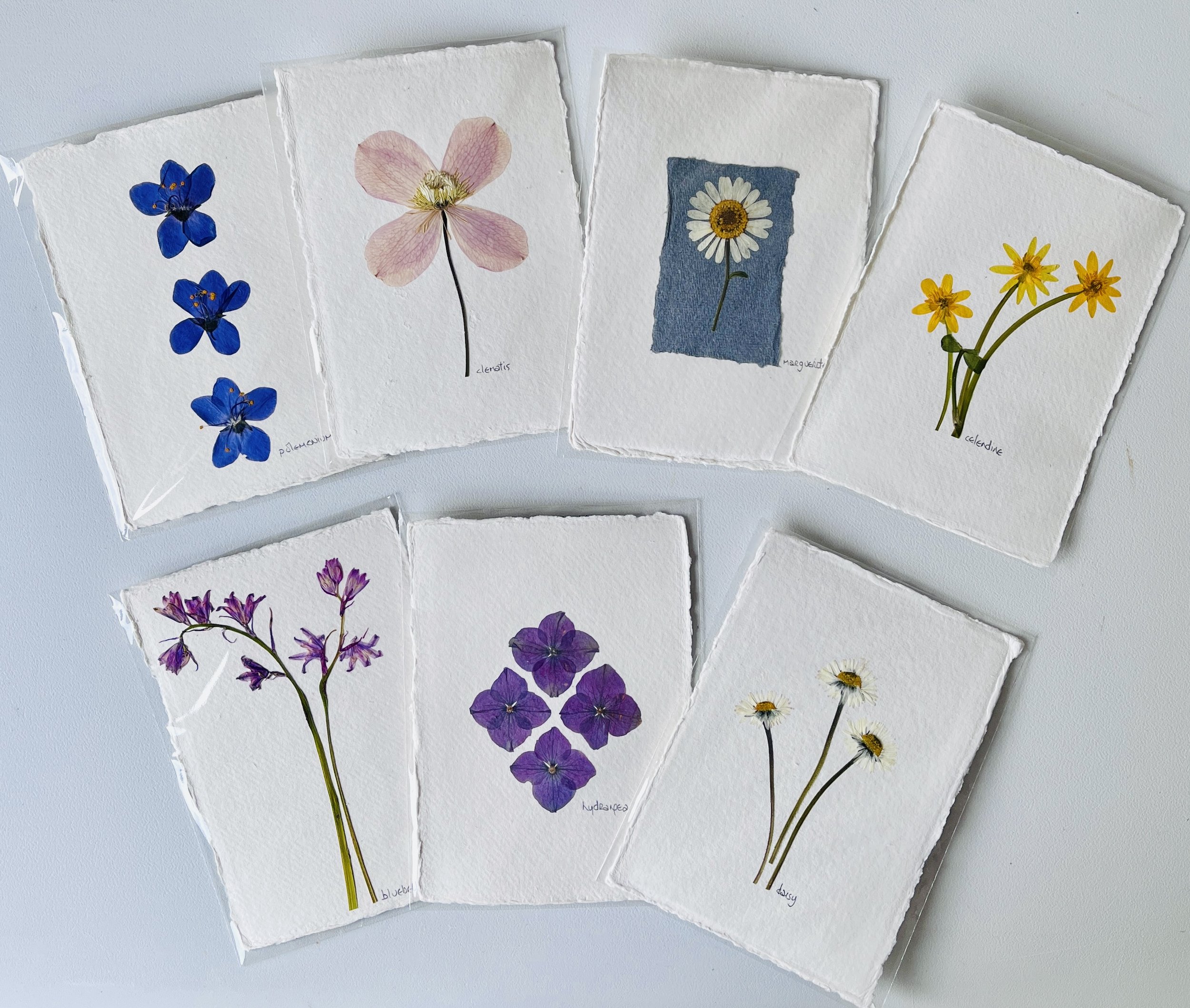 Pressed Floral Art