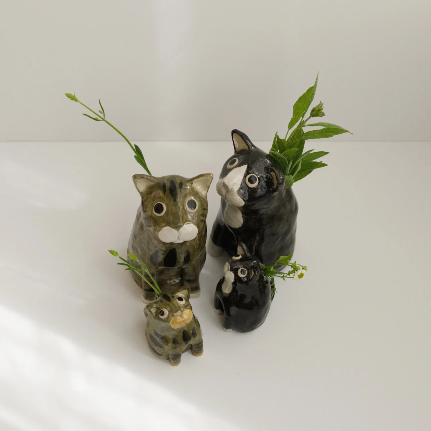 035_catvase_group_sq_1MB_DSC0071_6877.jpg