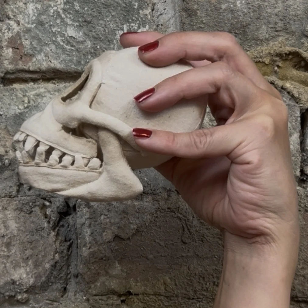 Sutured Specimens