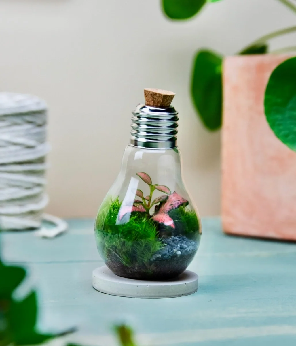 WildBulb