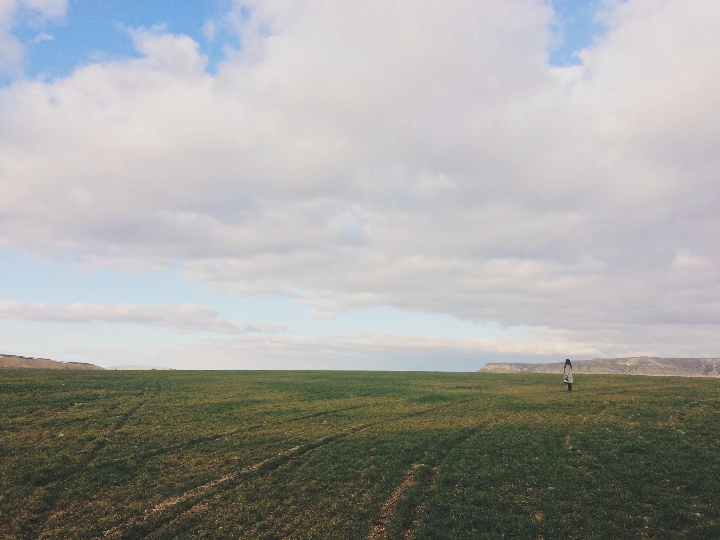 yaoqi-lai-22996-unsplash.jpg