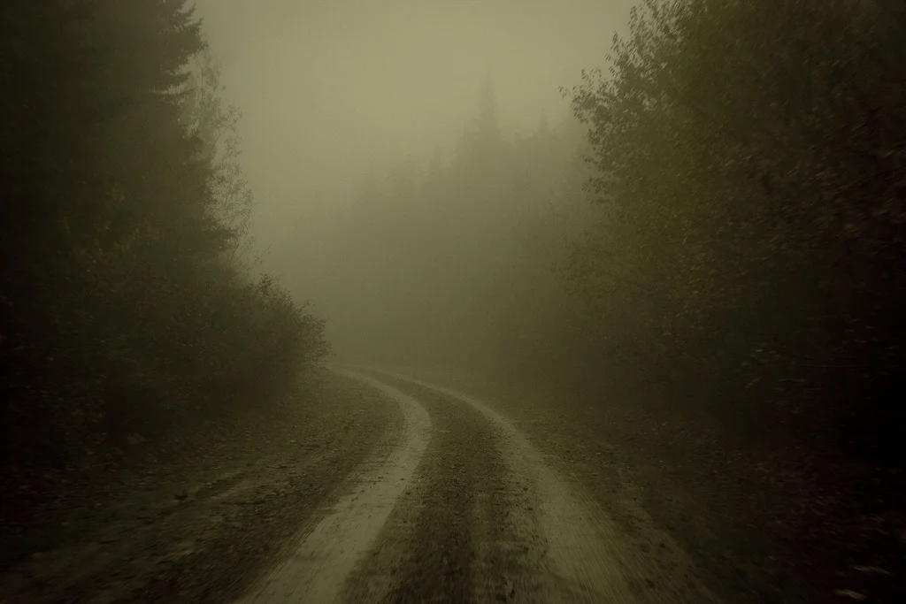 5- ghosts in fundy.jpg