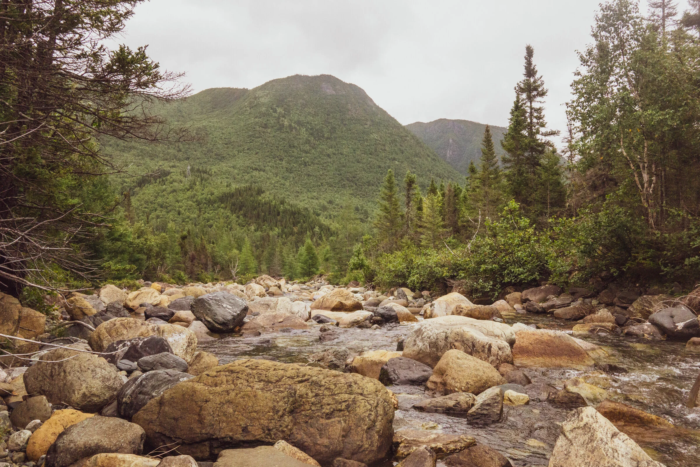 _DSC7514-1.jpg