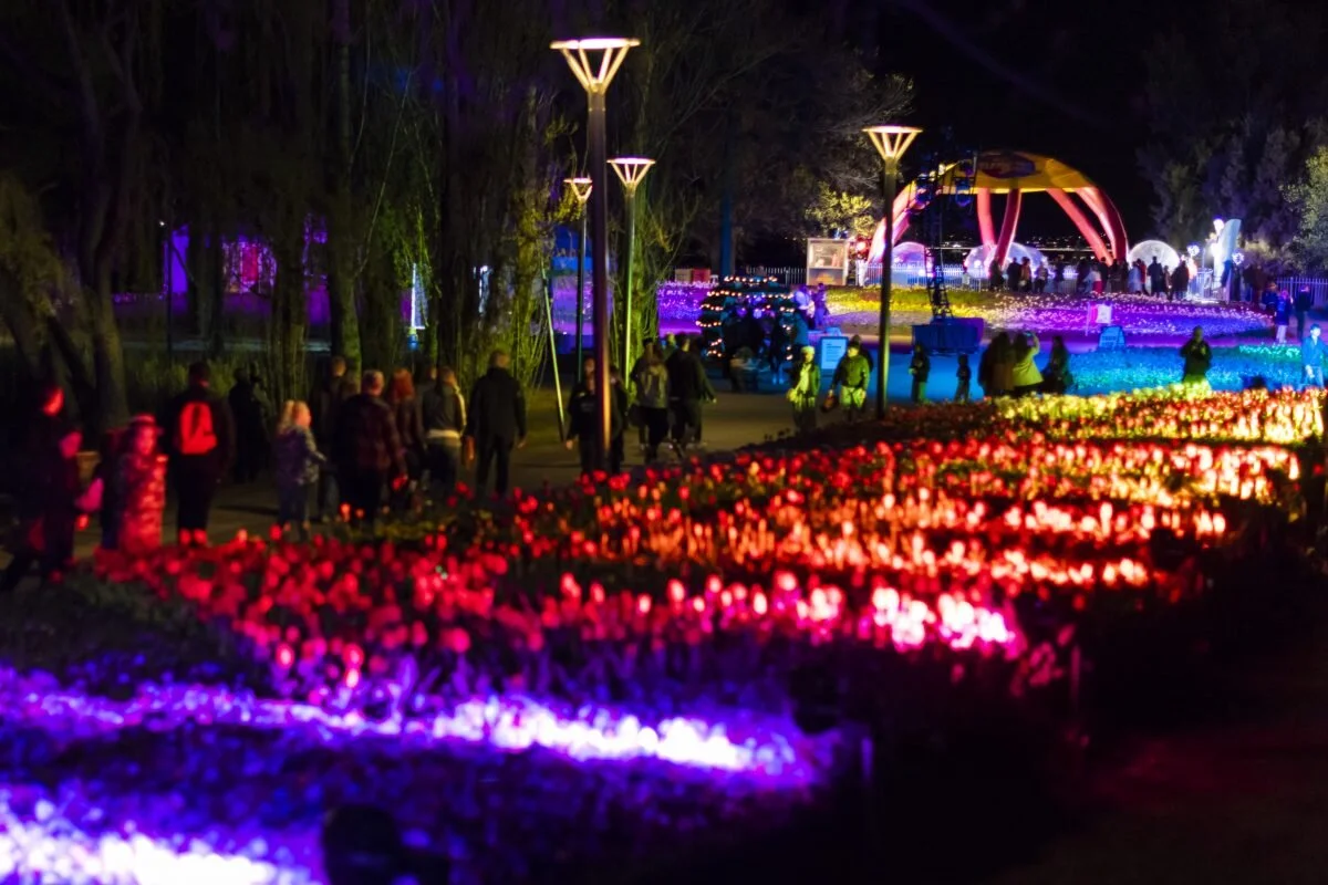 A display of Floriade’s Nightfest Sourced from: Floriade Australia