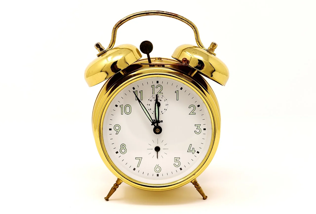 the-eleventh-hour-3082148_1280.jpg