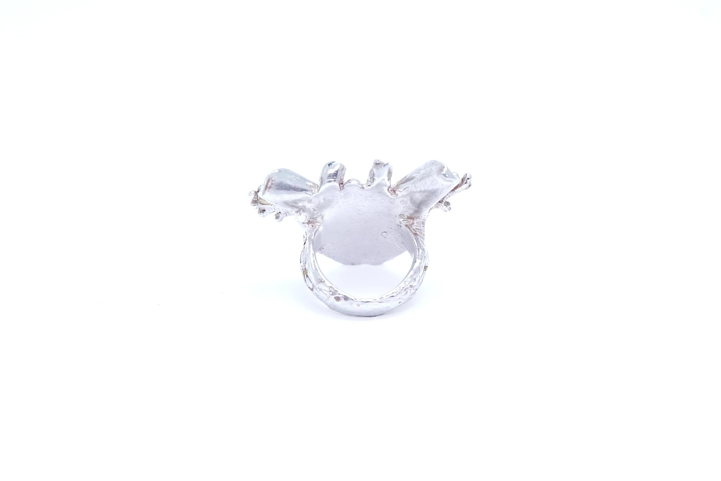 gastraton-back-ring.jpg
