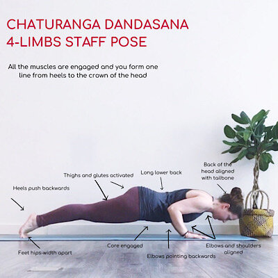 How to Chaturanga 