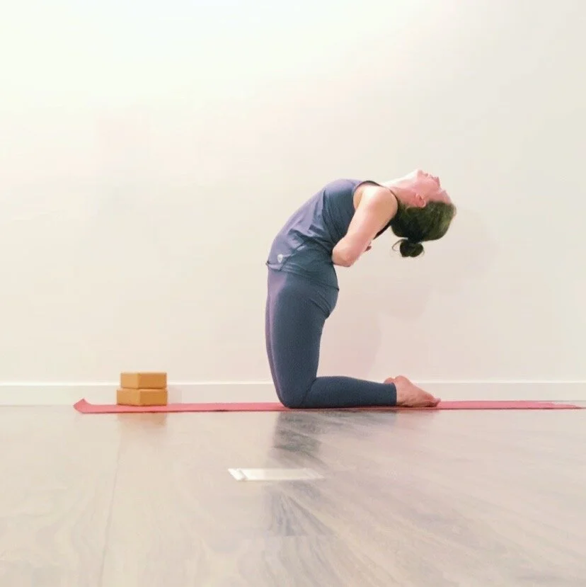 ASANA: Le chameau - conseils et astuces