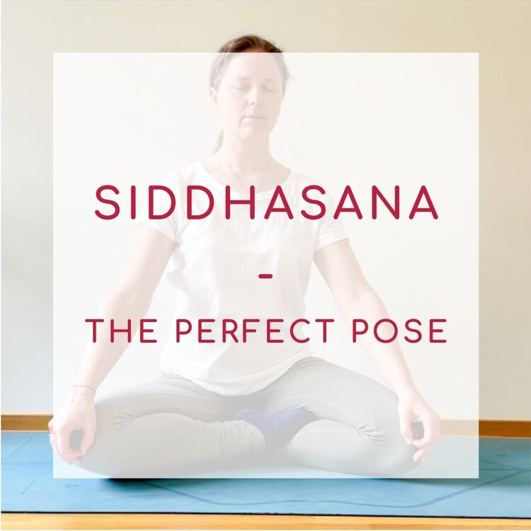 Siddhasana: the 1 pose you need to try for the best meditation — Tes Cours  de Yoga en Ligne - The Sakura Yoga