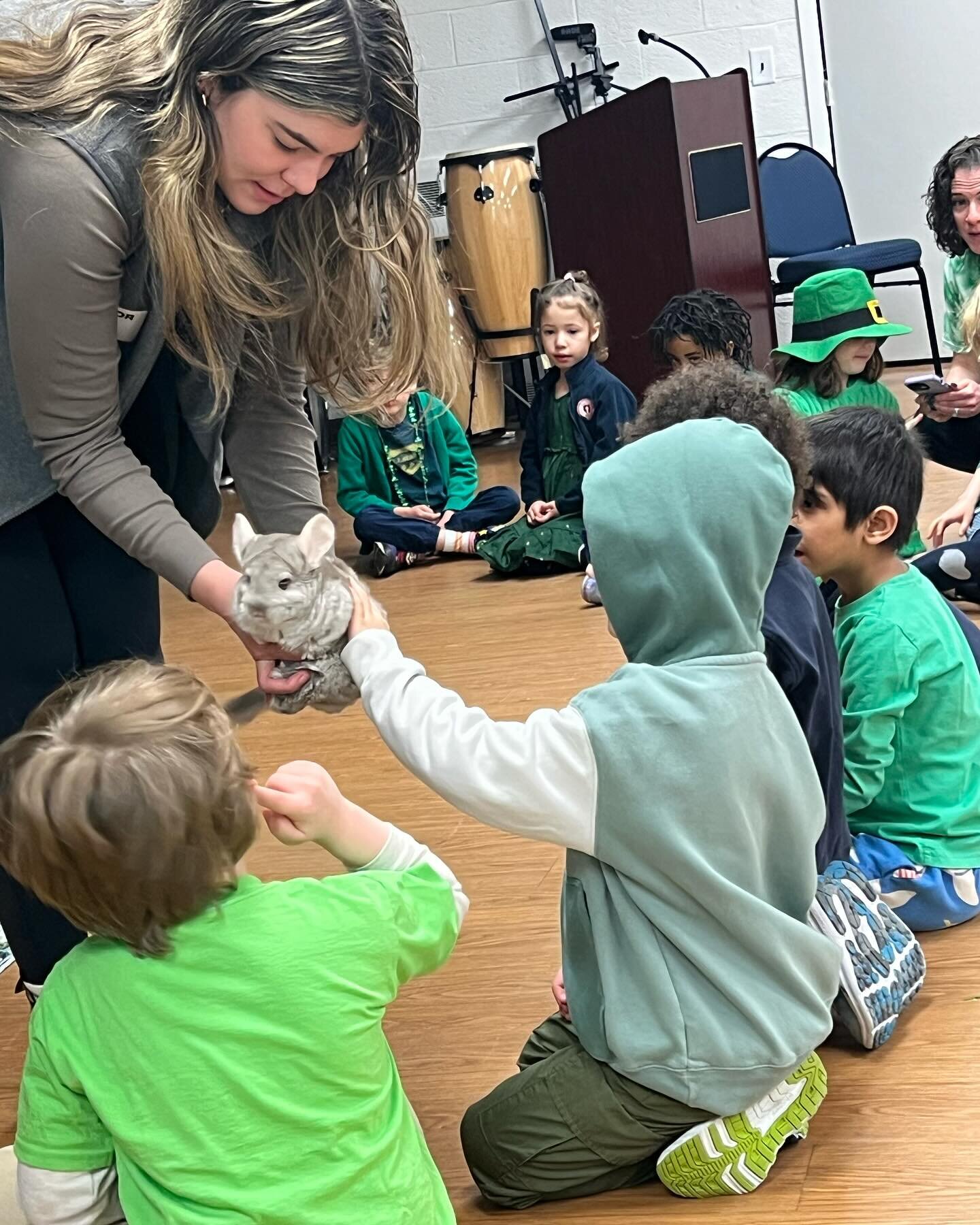 We welcomed back @greenburghnaturecenter and 4 special guests!  Our favorite by far was Melado, an Eastern Screech Owl. How lucky are we that he paid us a visit?! What an awesome day! #chapelspirit