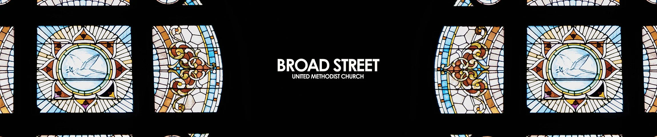 Website Banner shrunk2 copy.jpg