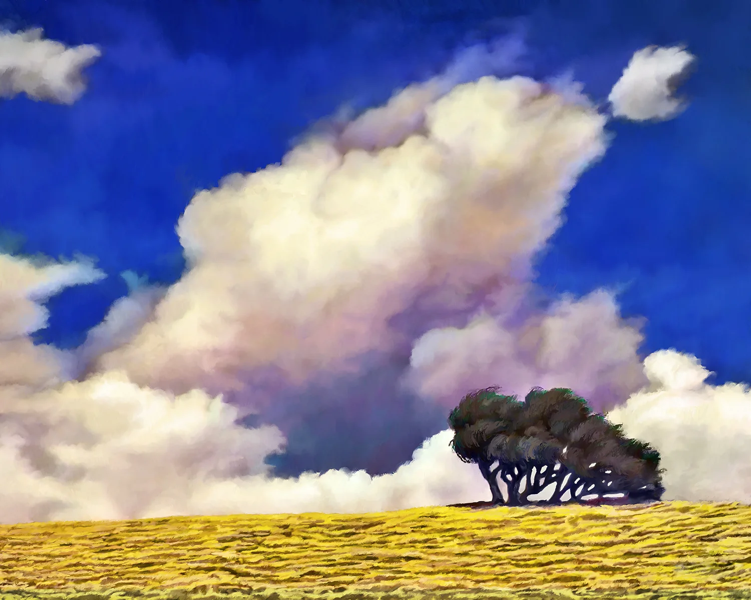 DolanRoad01.jpg