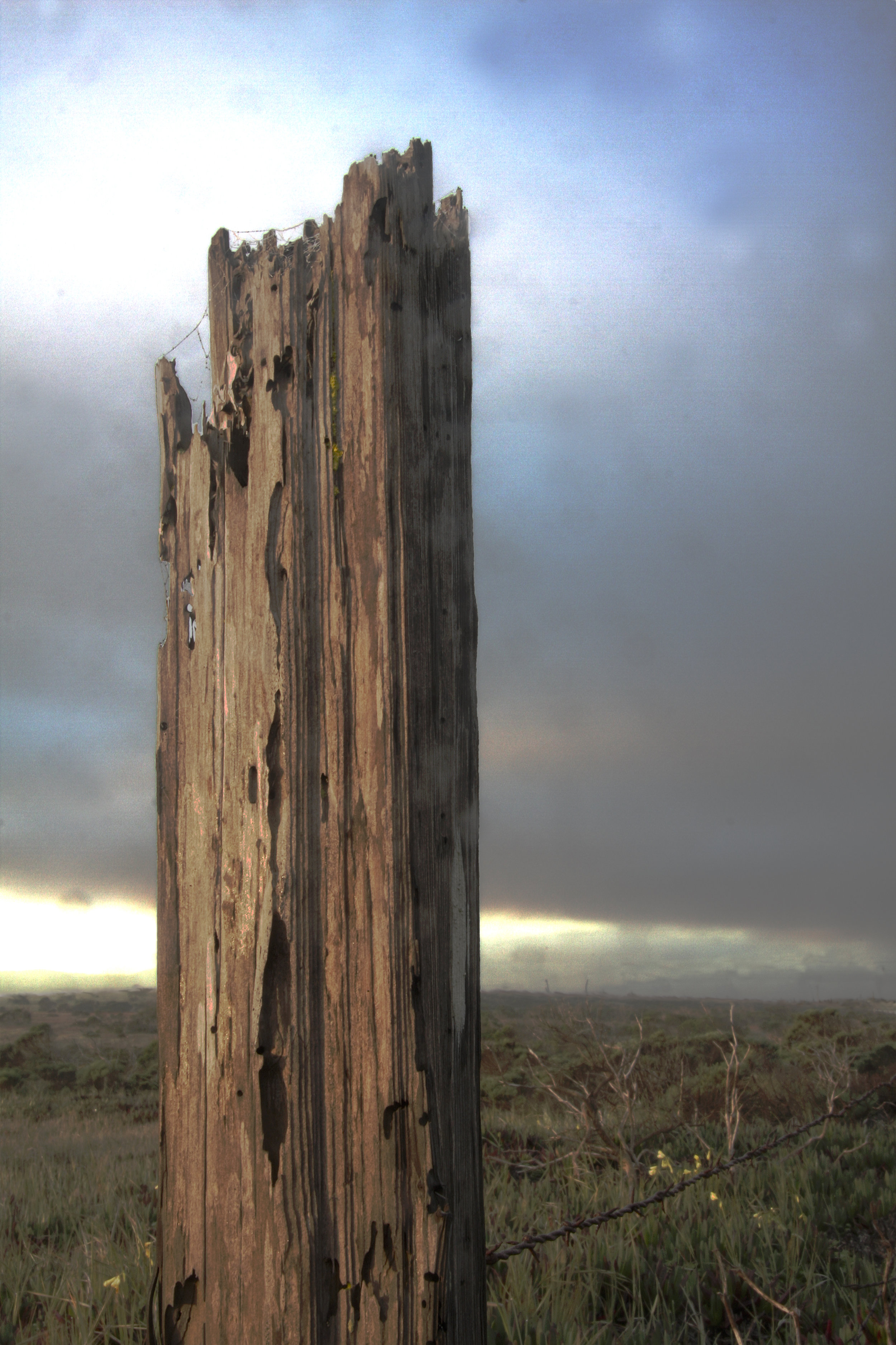 Armstrong Ranch Fencepost