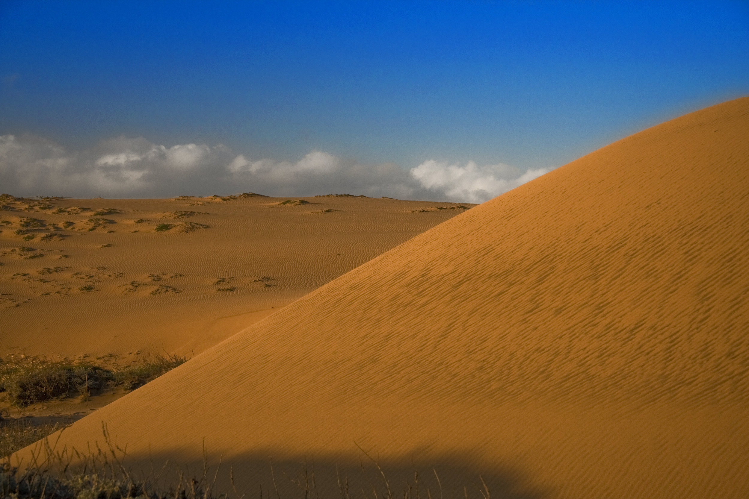 Lake Drive Dune at Morning