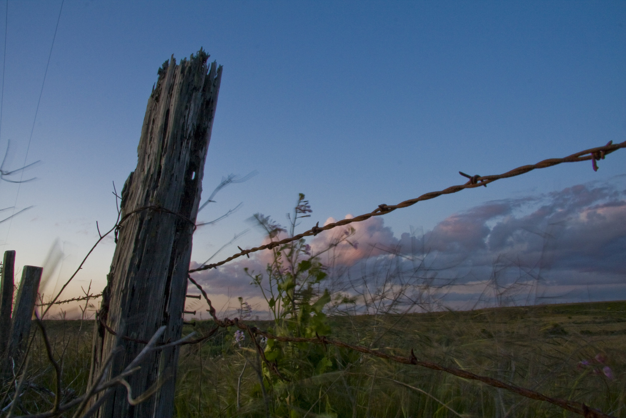 Armstrong Ranch Fence at Dusk