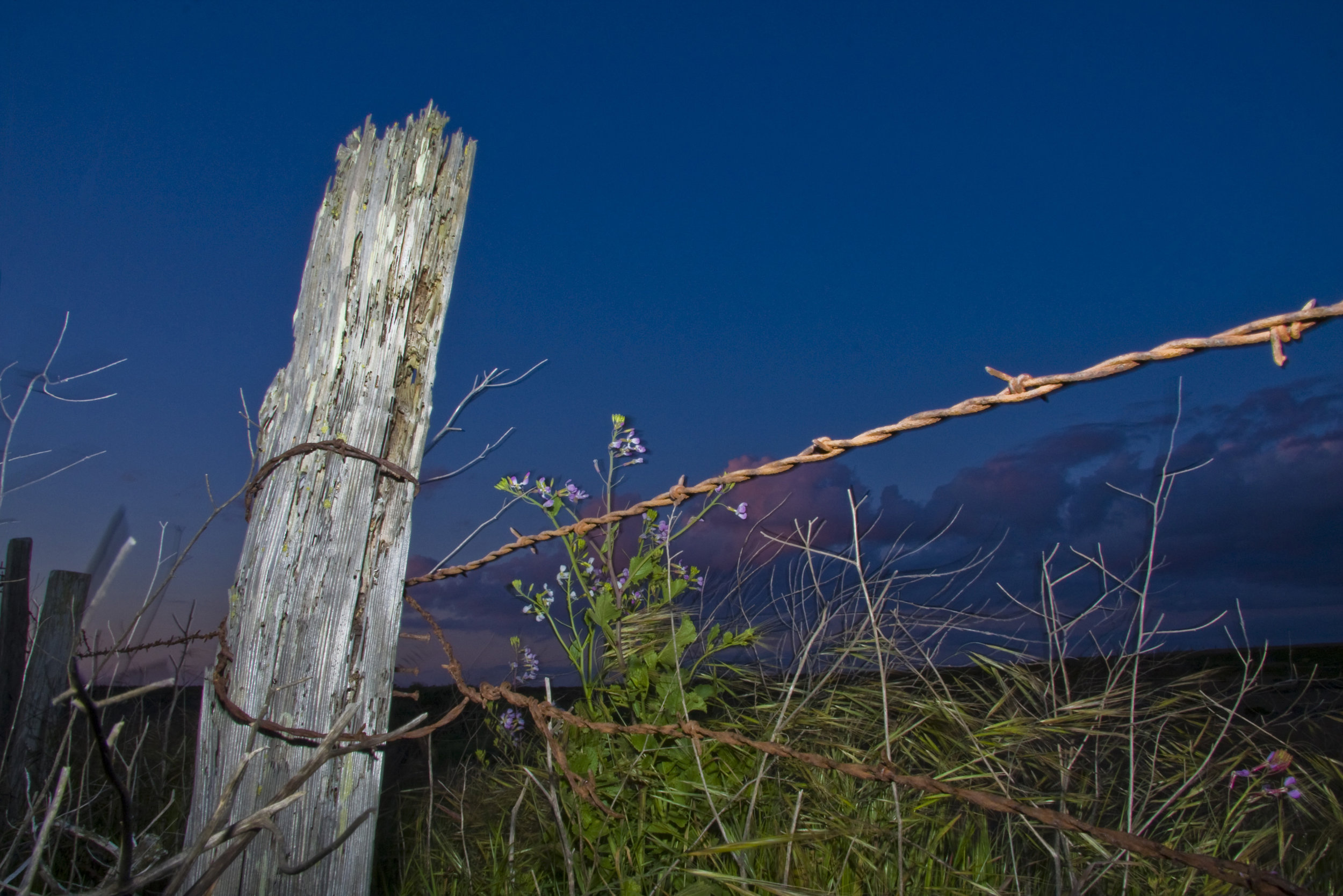 Armstrong Ranch Fencepost at Night