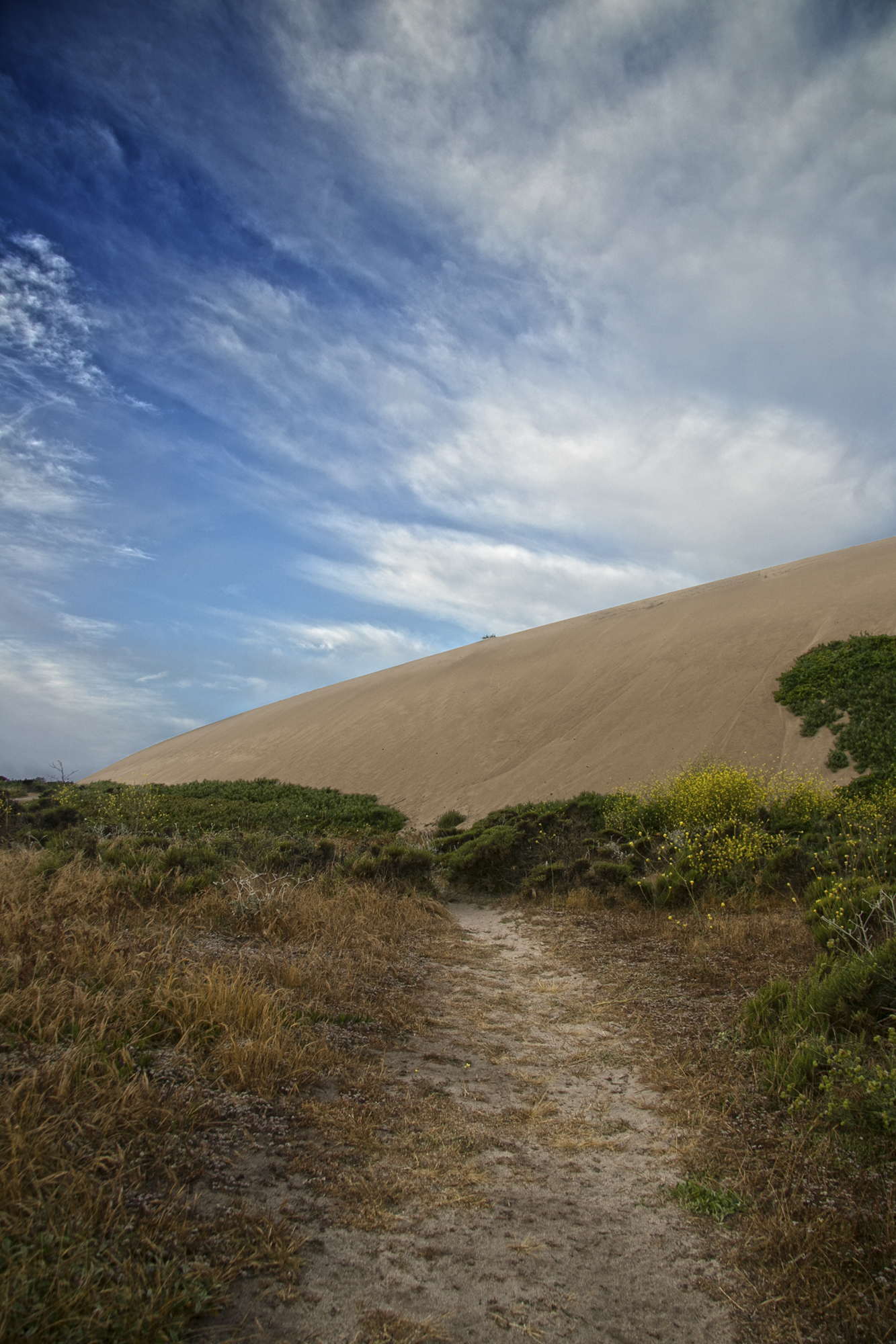 Dunes Drive Pathway