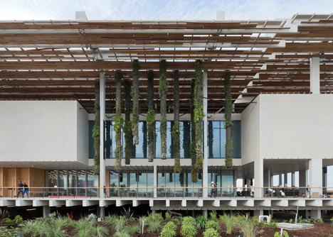 Herzog & de Meuron's Pérez Art Museum creates new "vernacular" for Miami