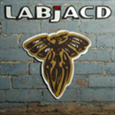 Labjacd - Vote With Your Feet.jpg