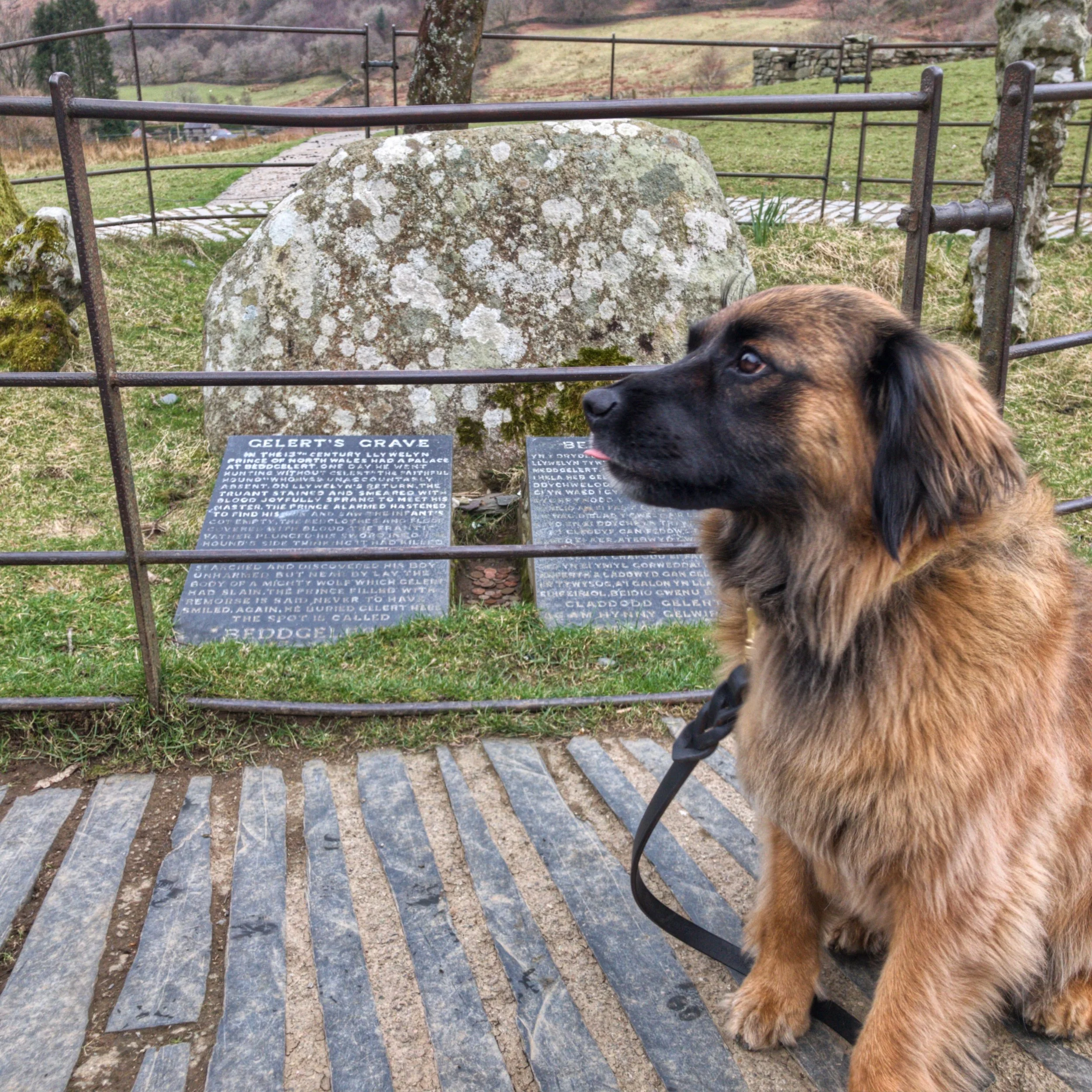 Beddgelert