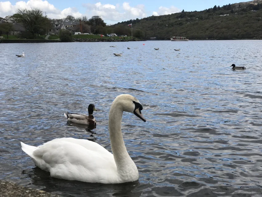 Llanberis-Llyn Padarn