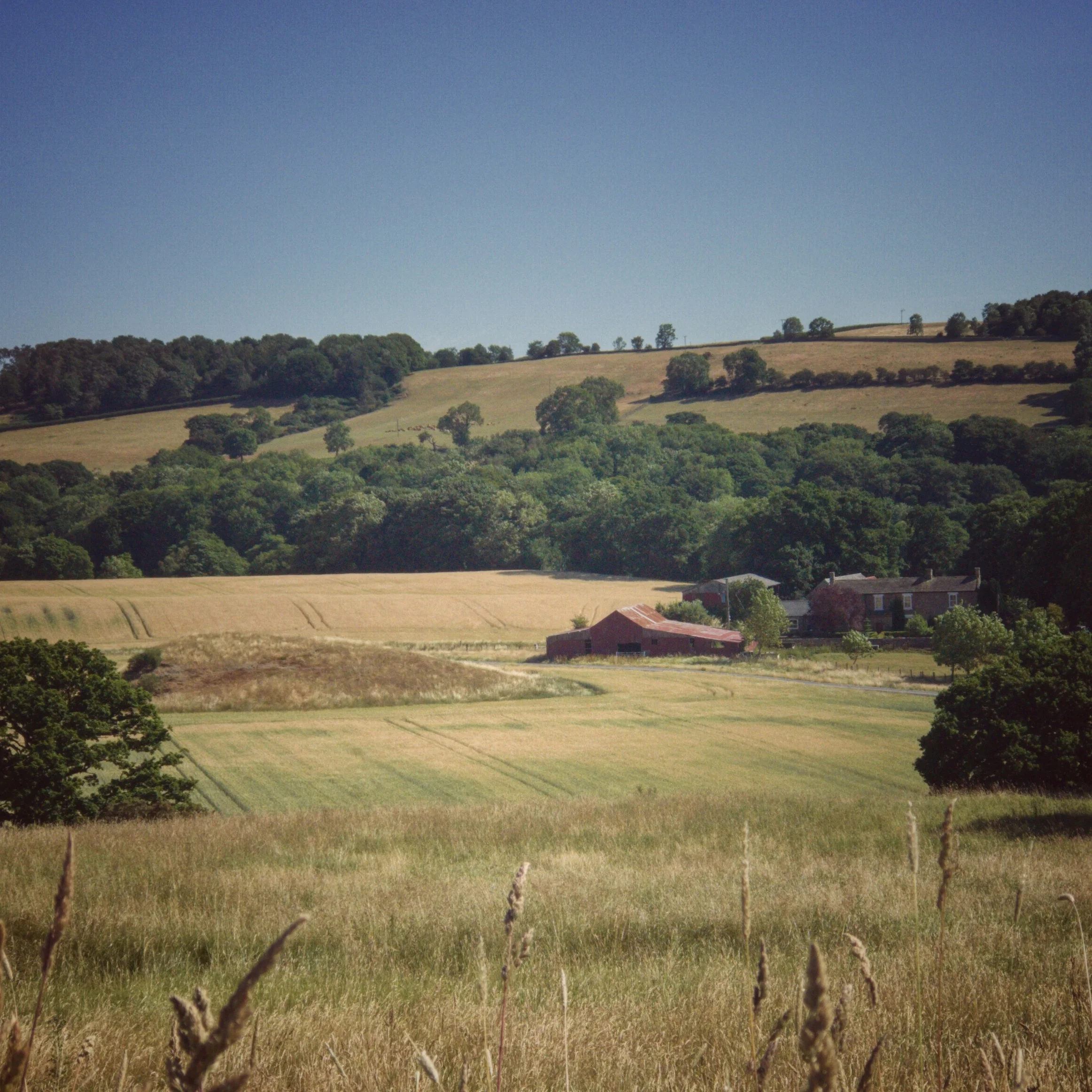 The Beautiful Hills