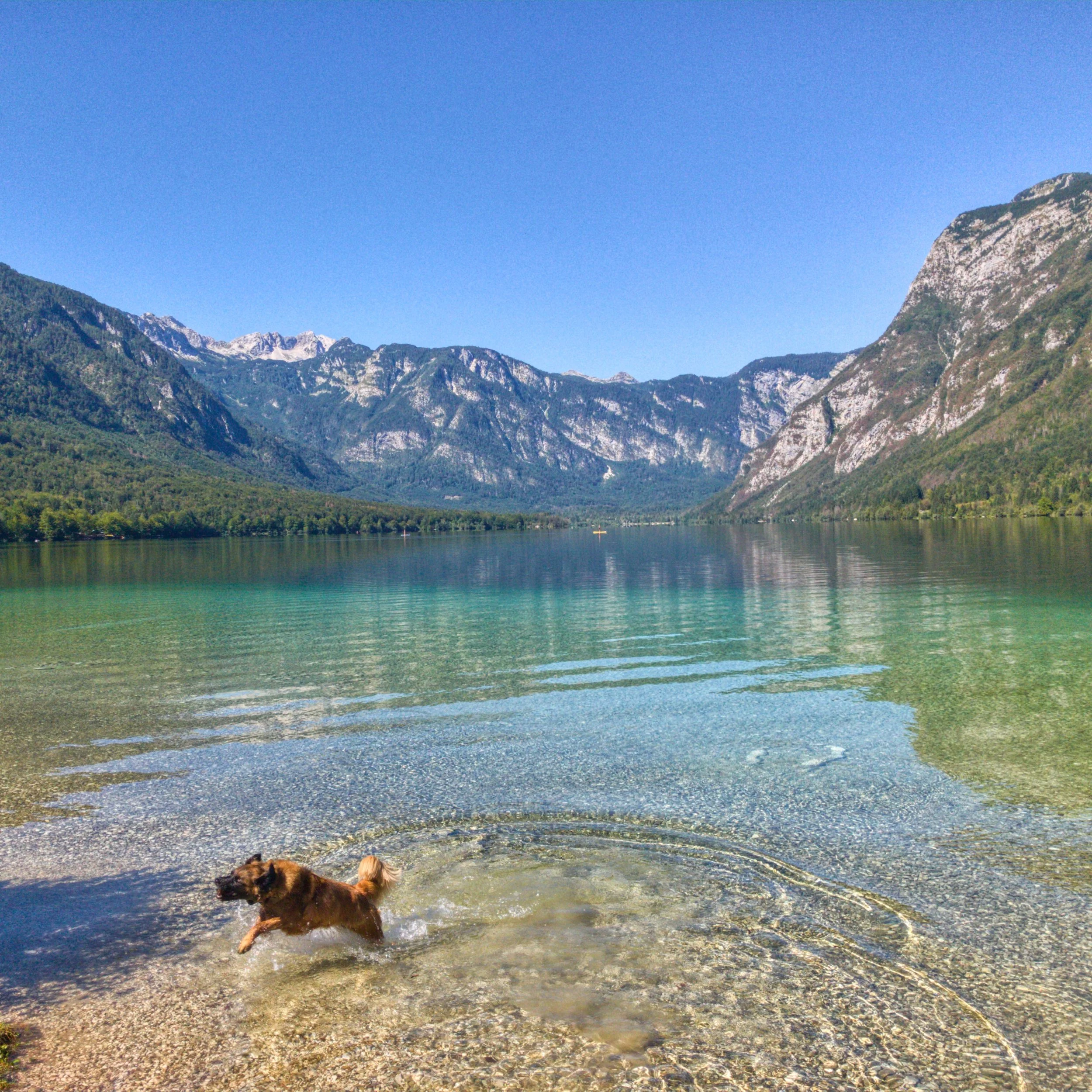 Lake Bohinj