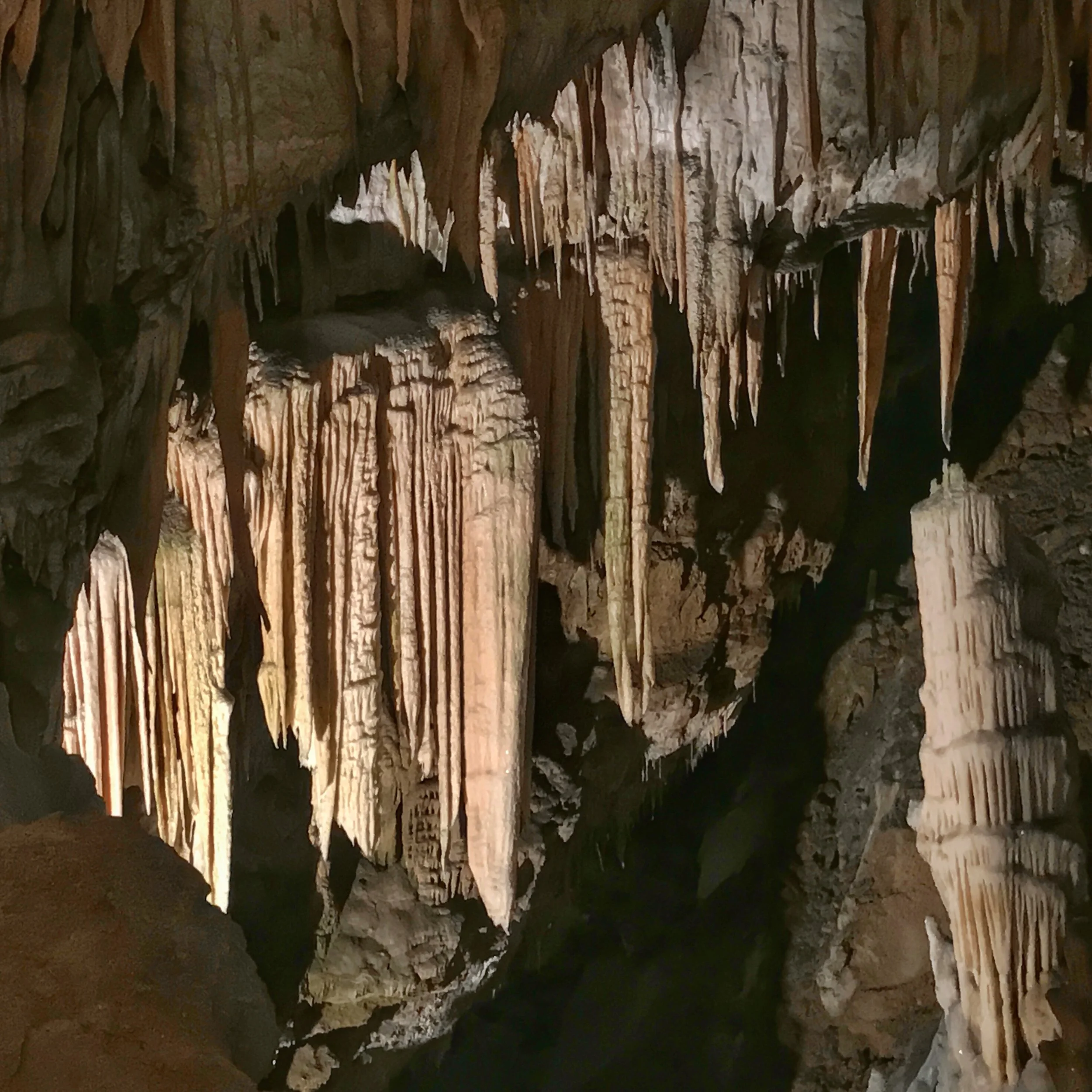 Postojna Caves