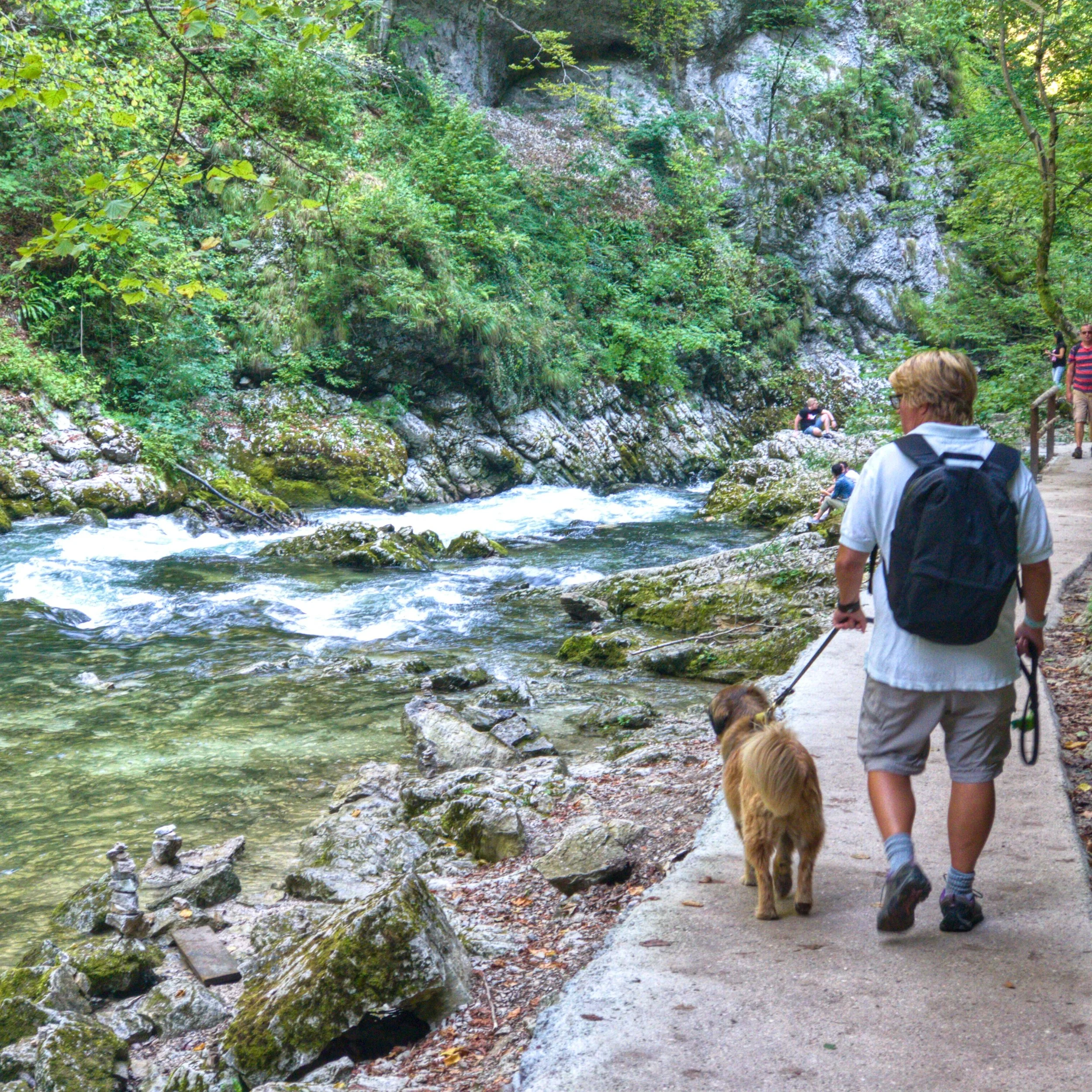 Vintgar Hike