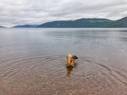 On monster watch at Loch Ness