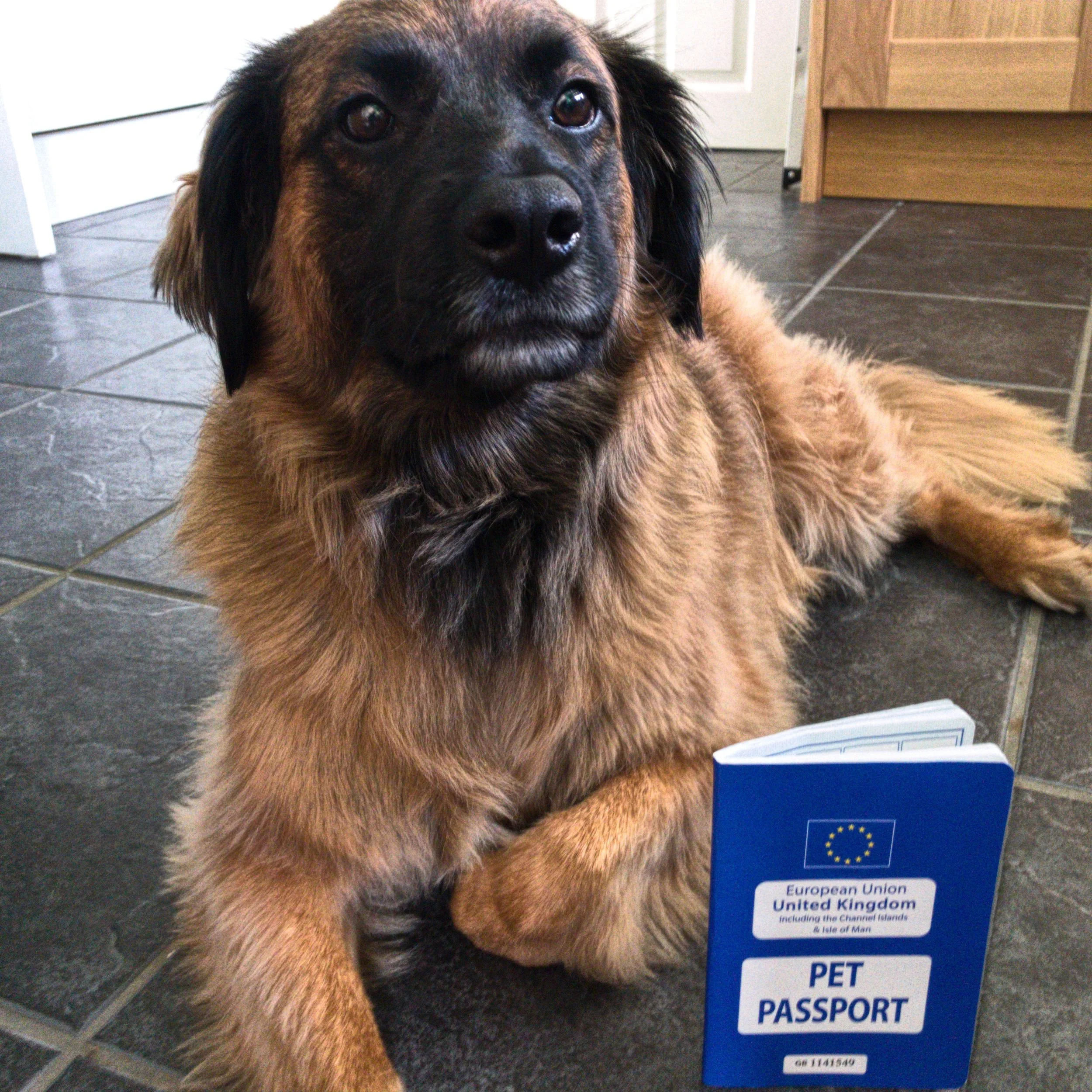 I got my passport, I’m ready to roll