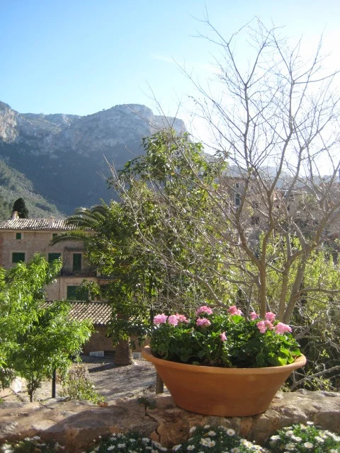 Mallorca for Execututor.JPG