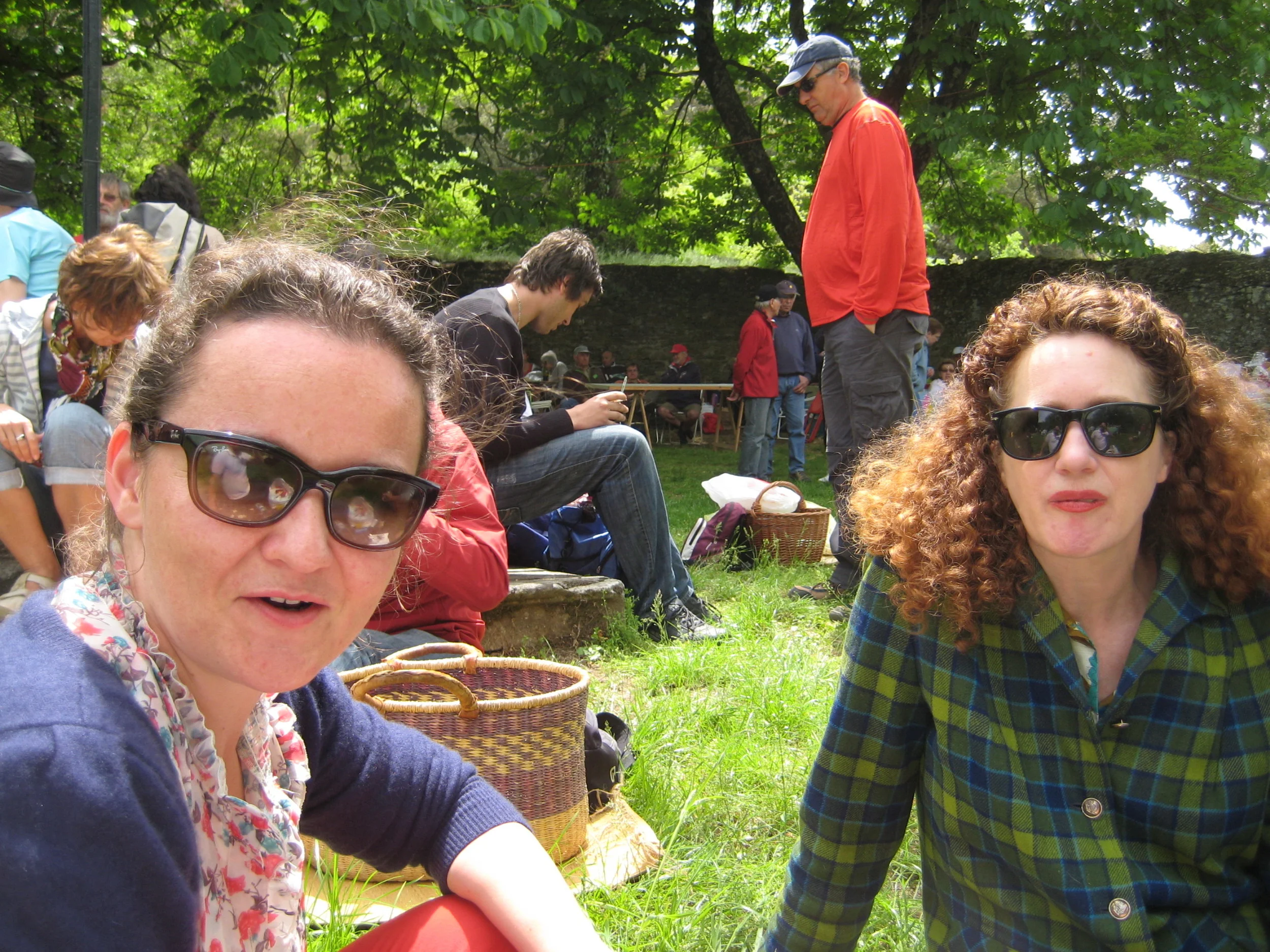 foreign language picnic.JPG