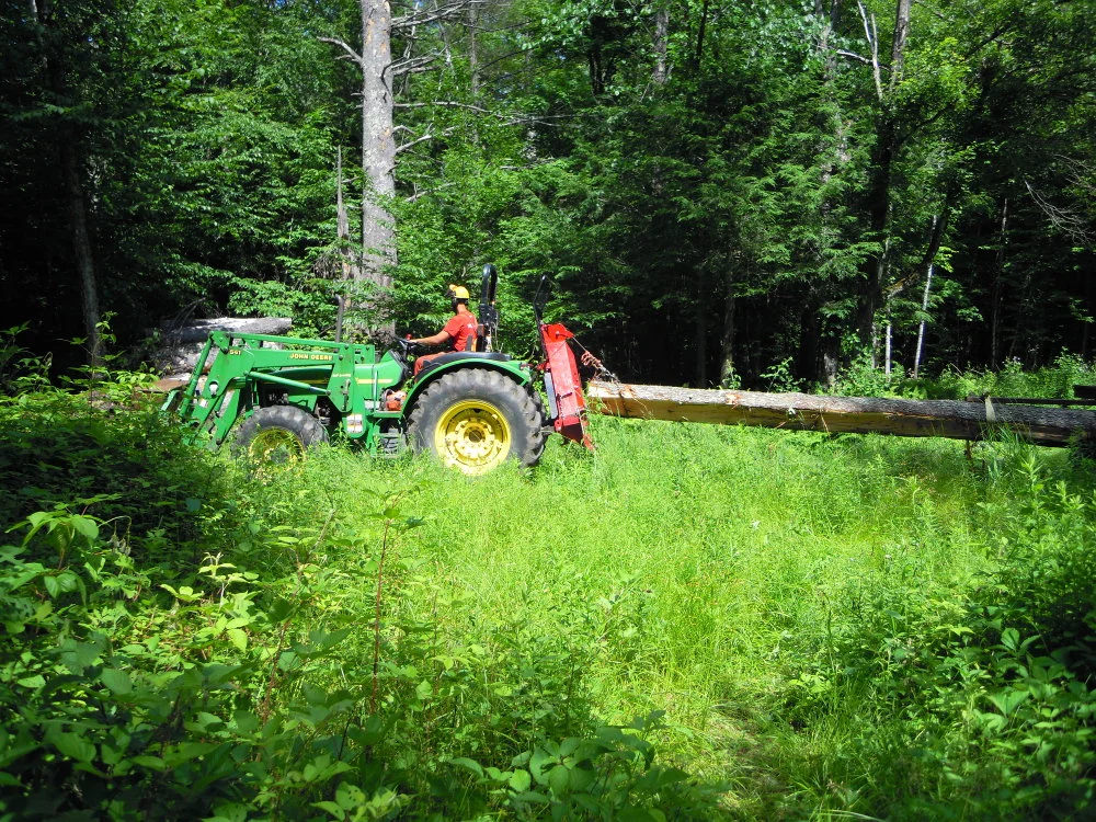 Hauling 29" cherry log to the landing