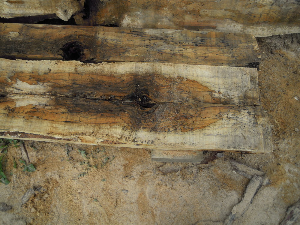 Spalted maple bookmatch