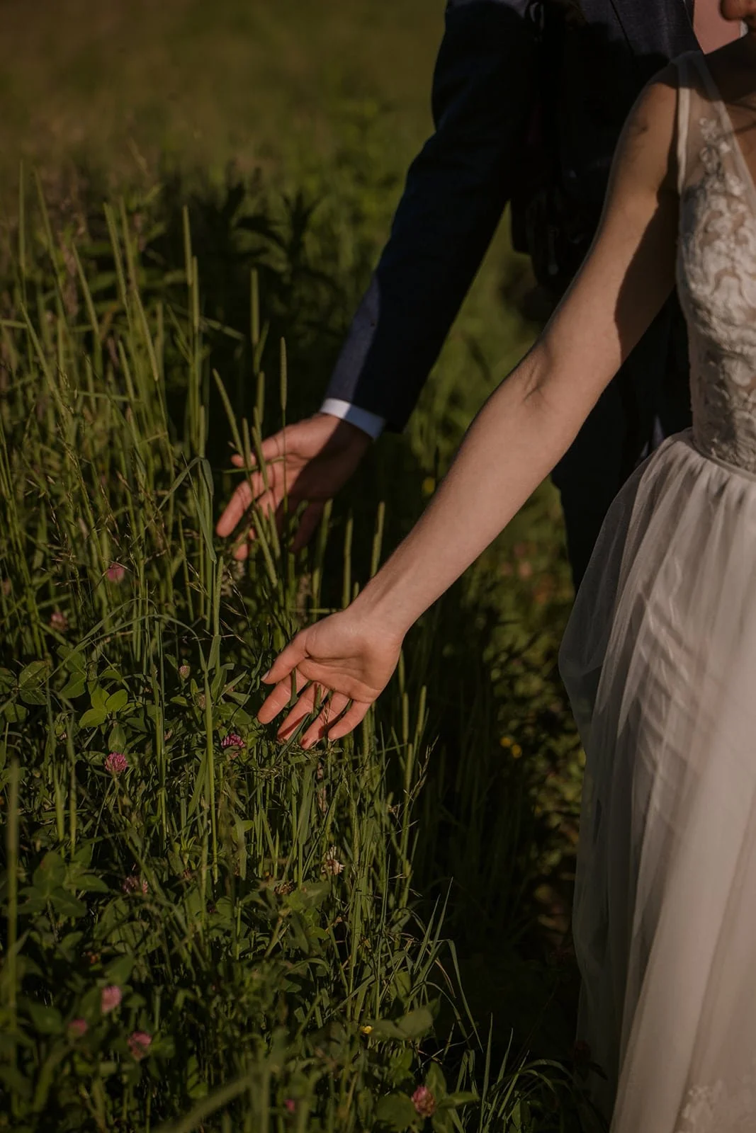 Couple Gently Touching Tall Grass in Wedding Attire.jpg