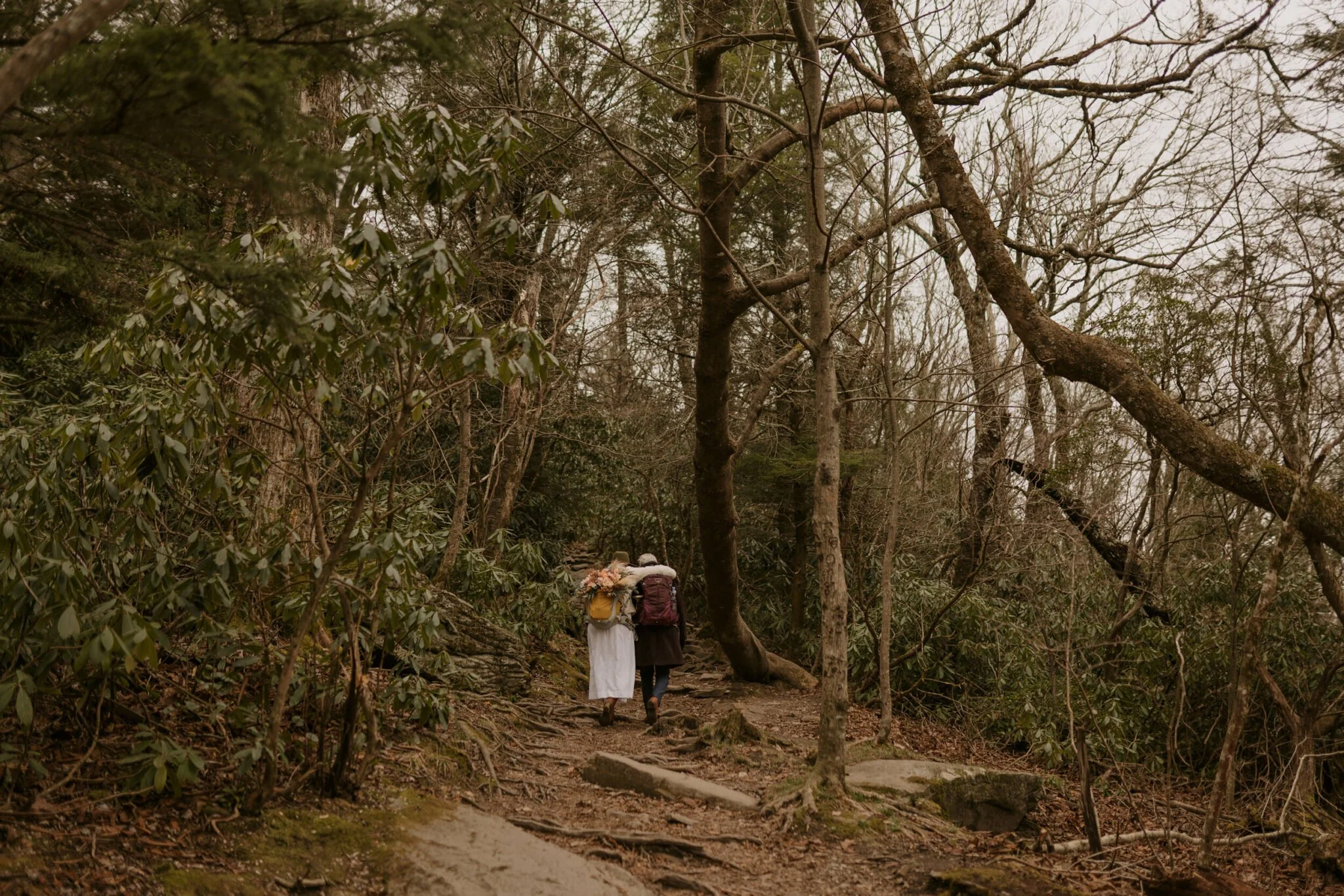 winter-elopement-hiking-with-trees.jpg
