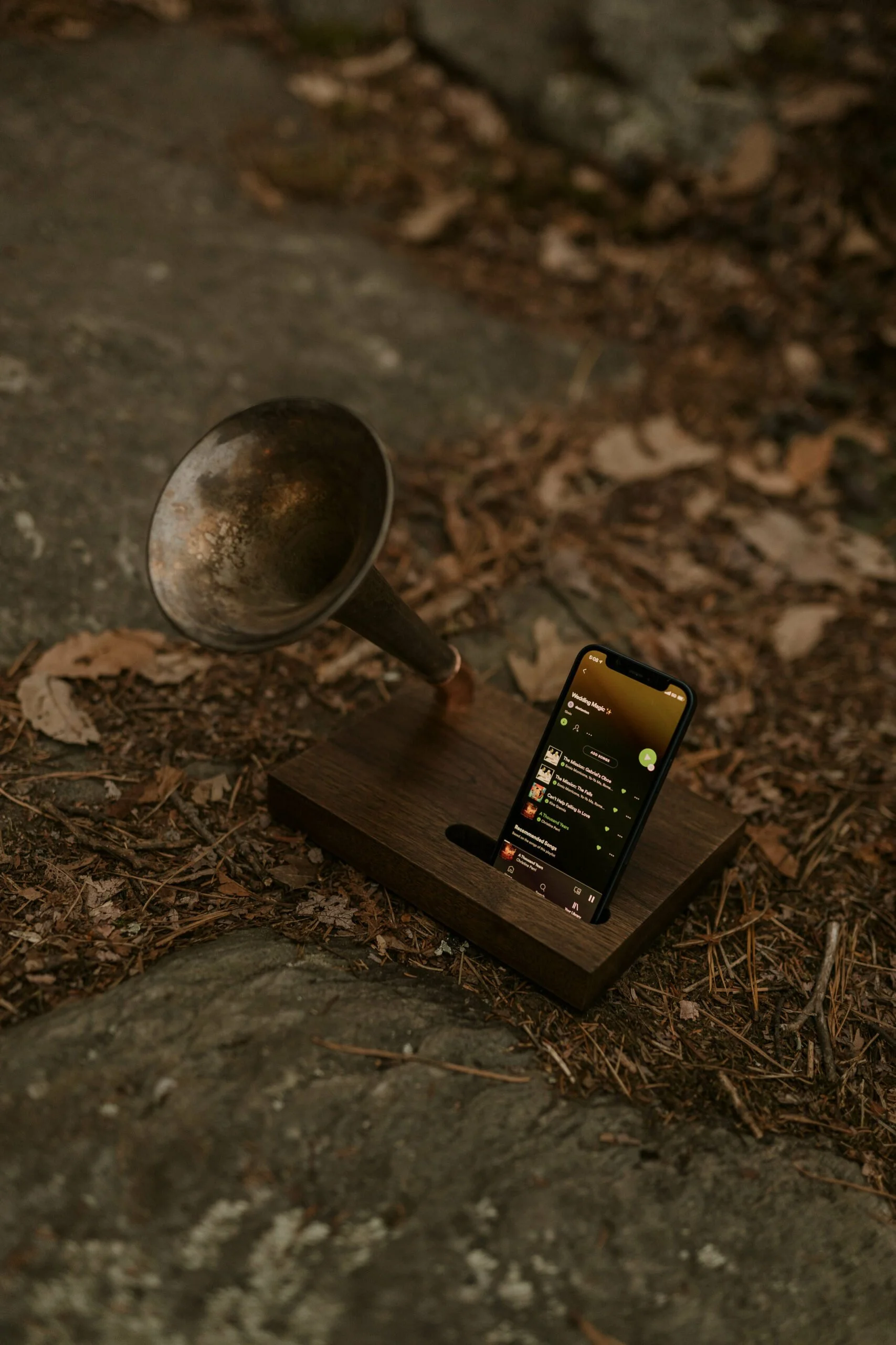 winter-elopement-gramophone-scaled.jpg