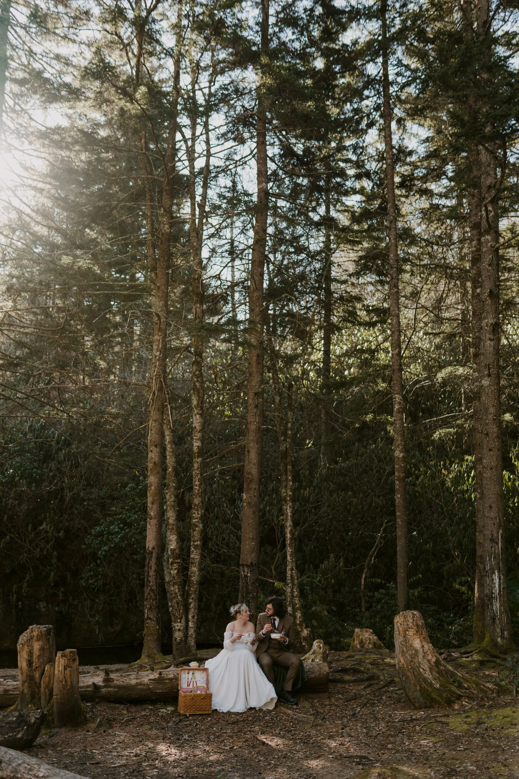 Forest Breakfast Picnic 3.jpg