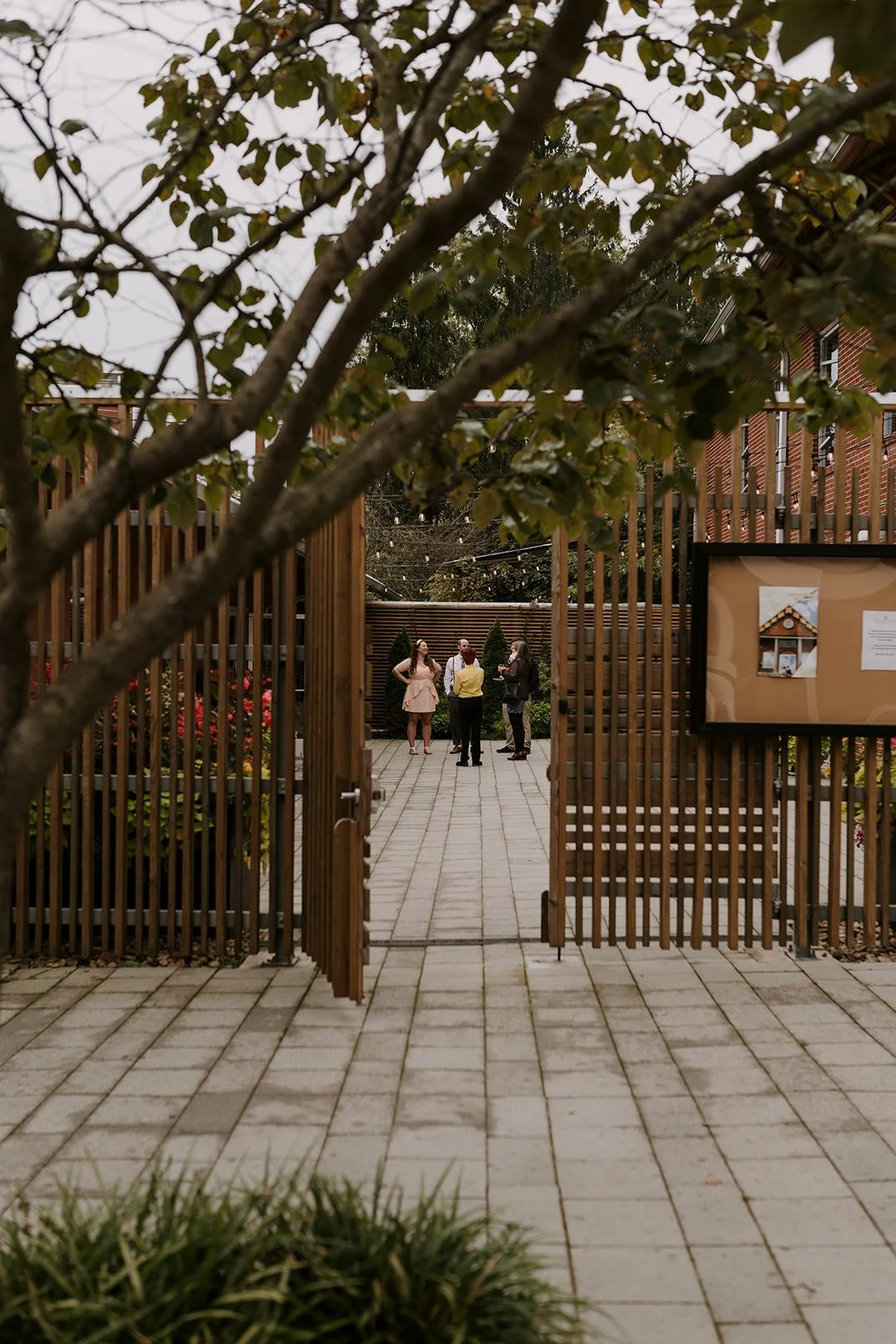 Low-key backyard elopement reception party scene