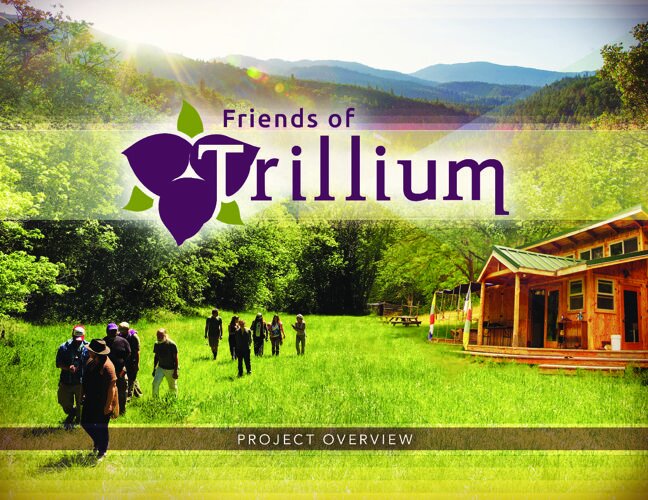 Friends of Trillium Logo.jpg
