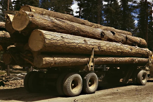 lumber transportation.jpg