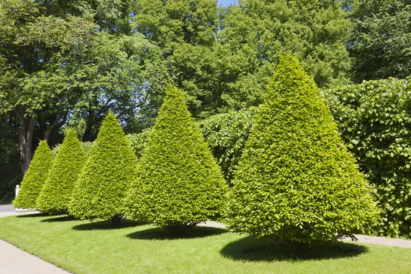 trees.jpg