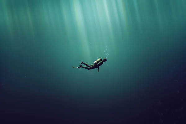 diving.jpg
