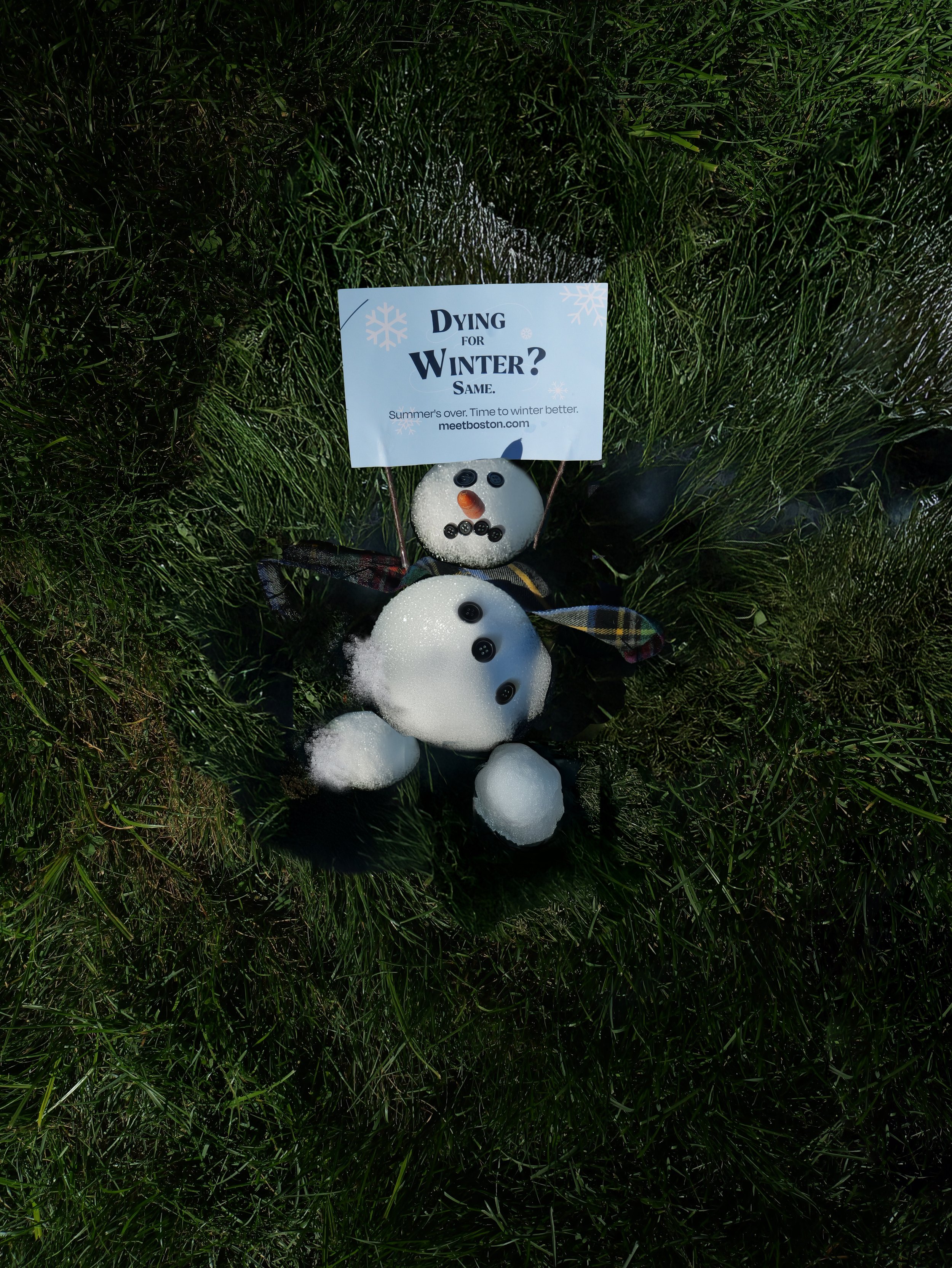 Dying grass_book.jpg