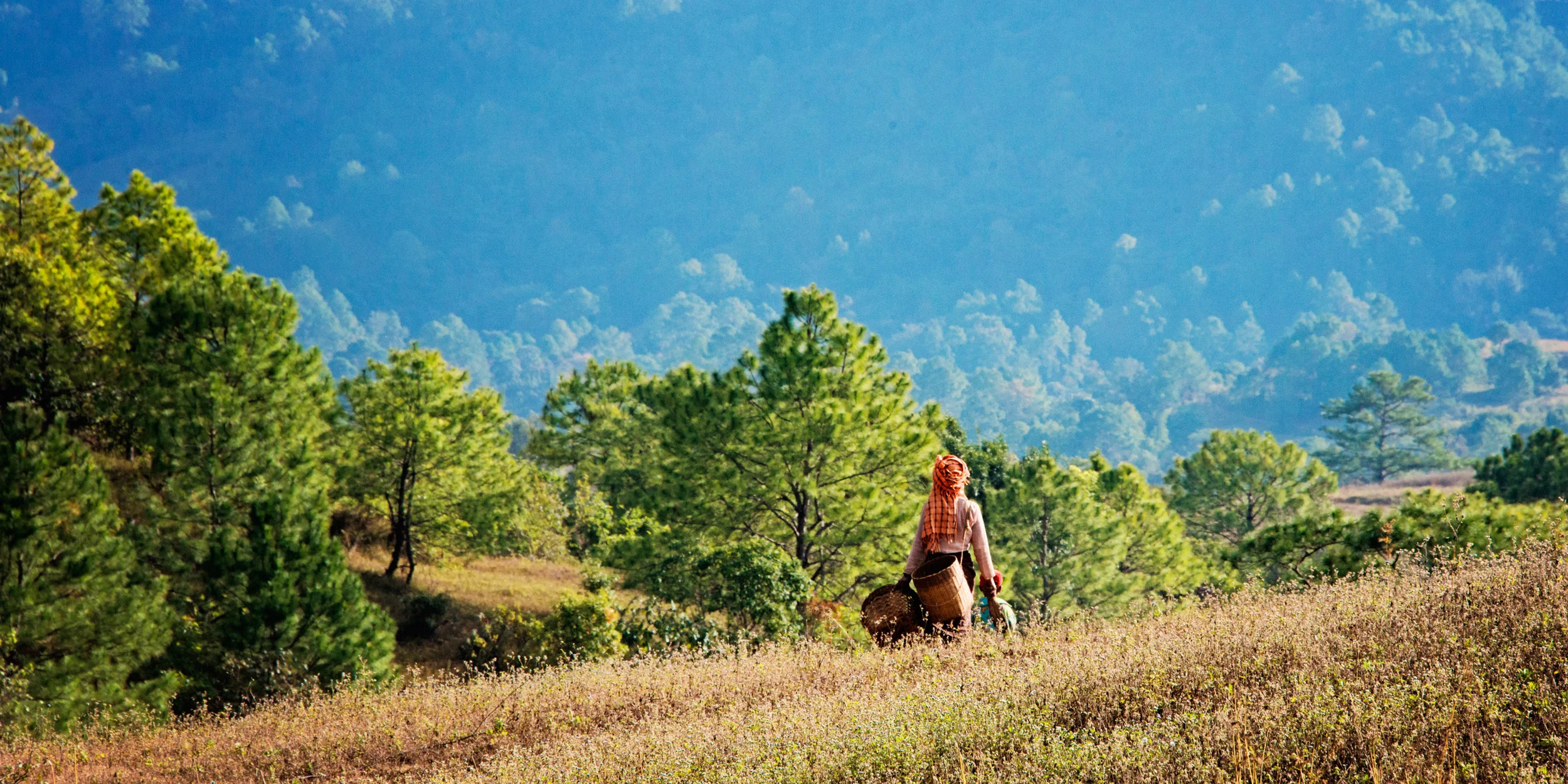 burmese_woman_walking_in_the_countryside.jpg
