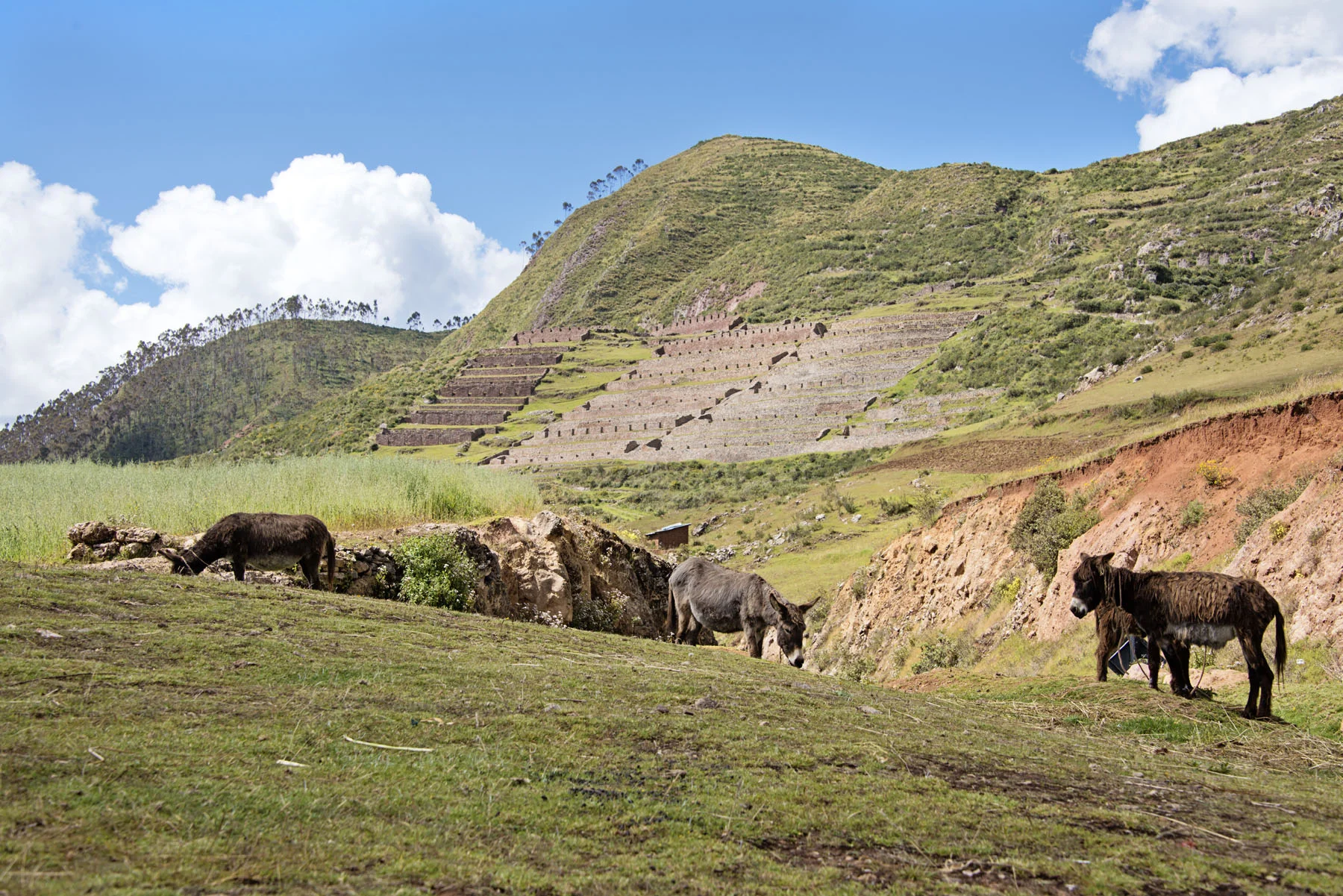 107-Peru-5-15.jpg